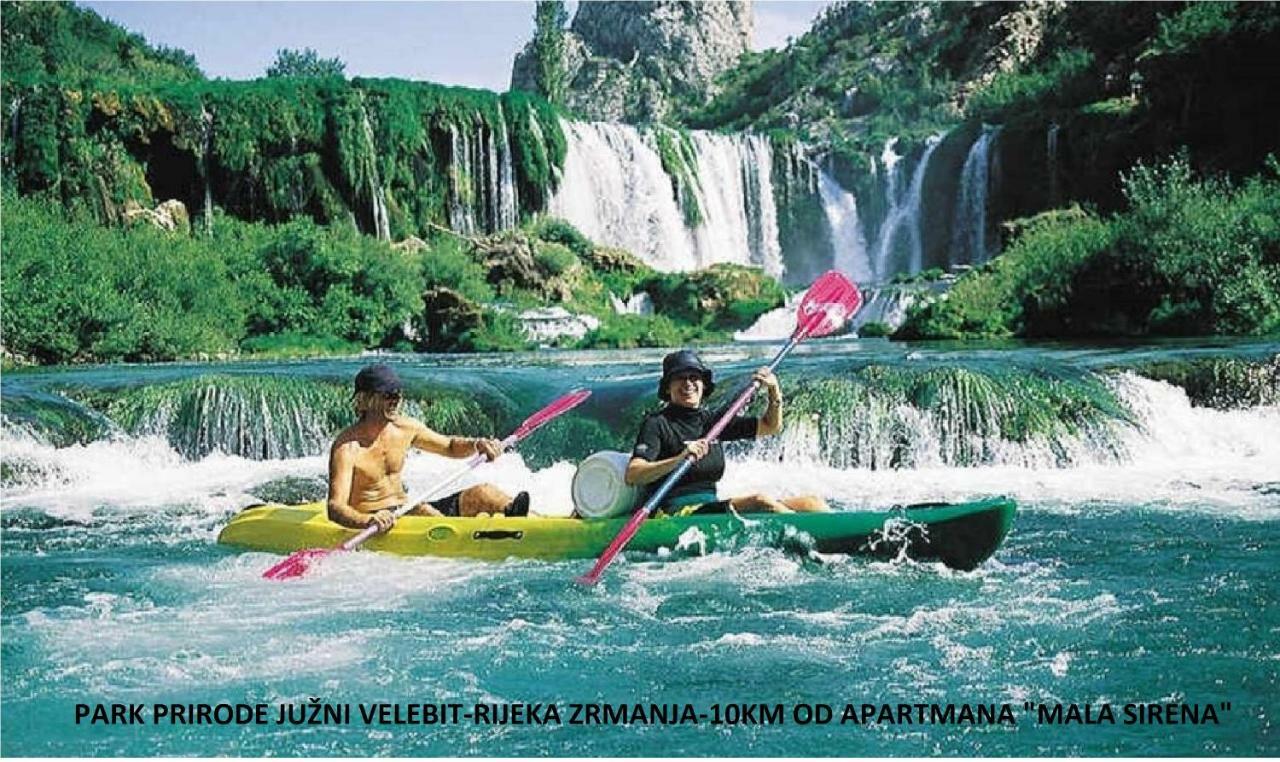 Apartament Mala Sirena *