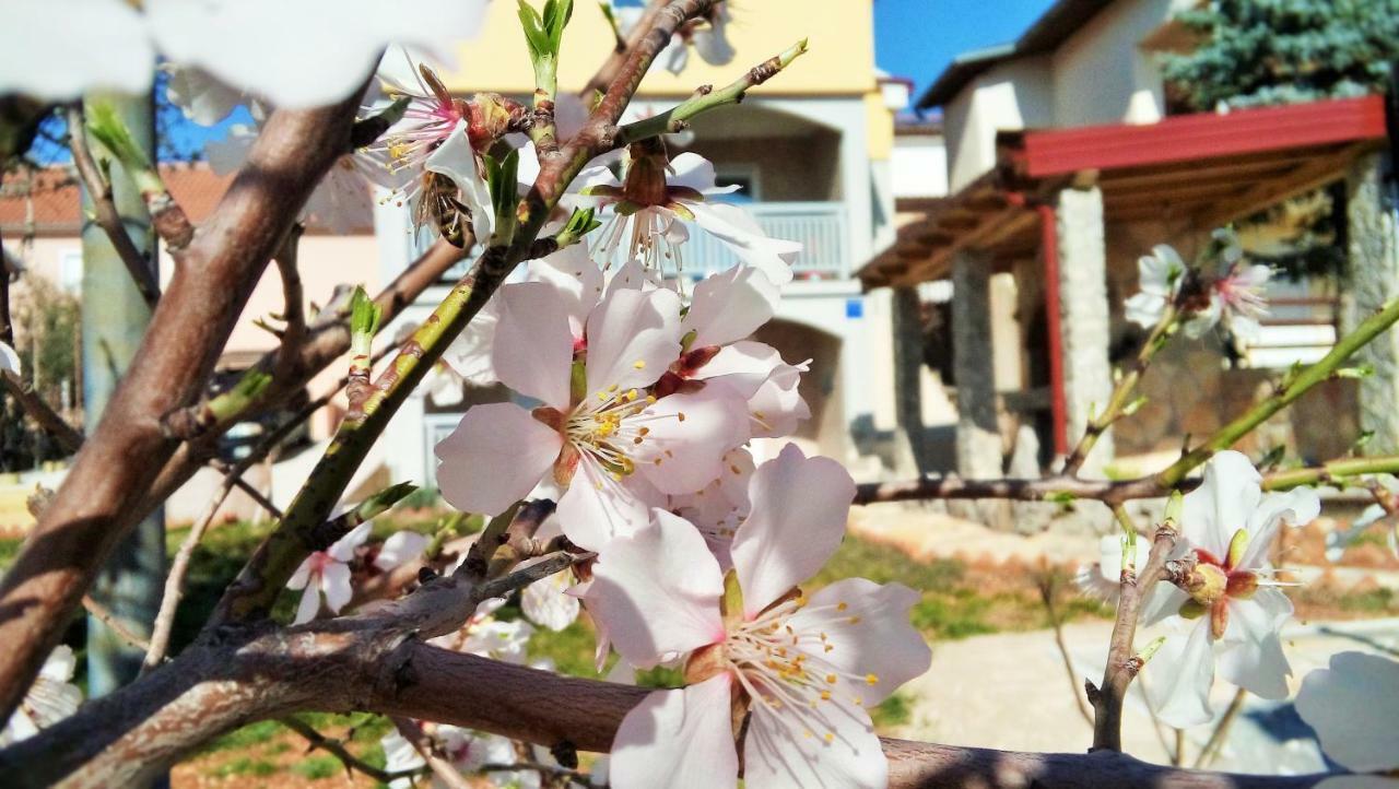 Mala Sirena Apartament *